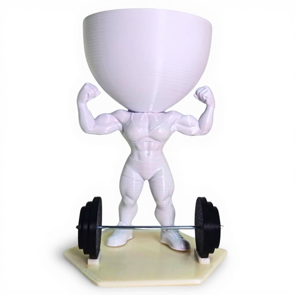 Vaso decorativo suculenta  decoração academia  musculação bodybuilder powerlifting mulher