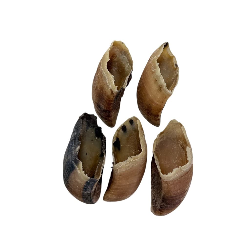 Mordedor Natural Artesanal Casco Bovino Opaparico - Kit de 5un