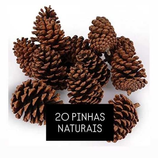 Kit 20 Unidades Pinha Natural | Artesanato Guirlanda Pets Aves Roedores