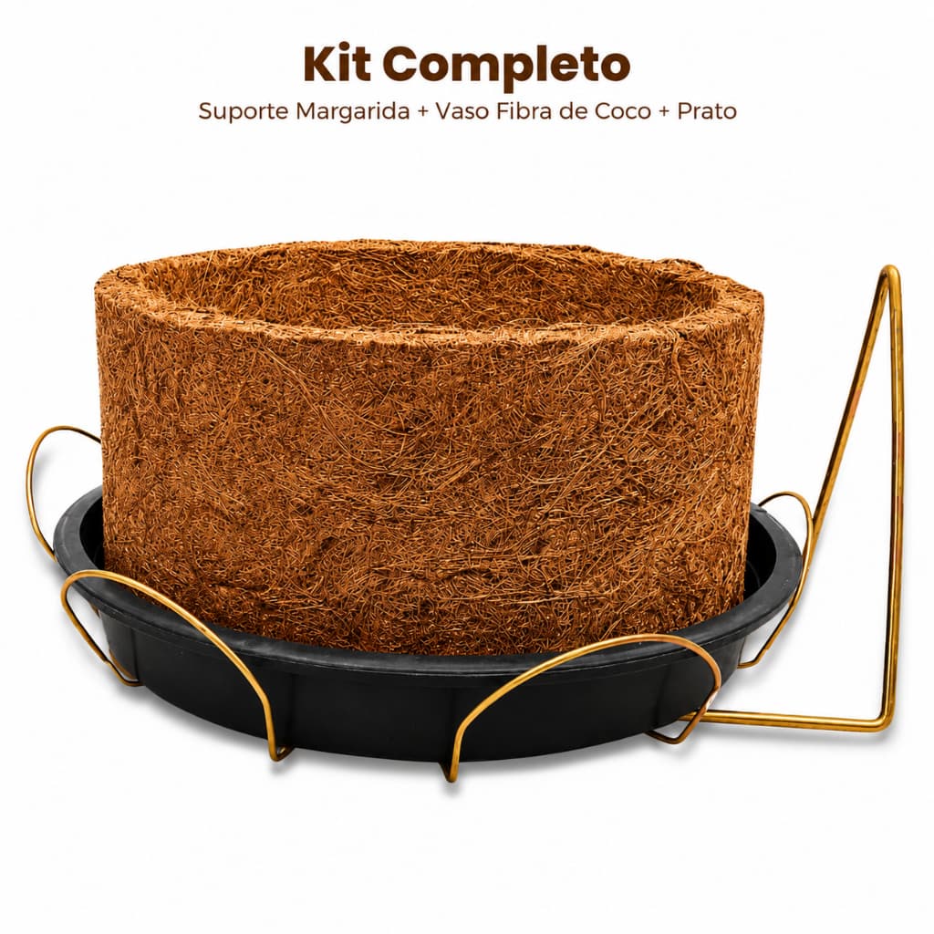 Kit Vaso Fibra De Coco Prato Suporte Margarida Parede Tamanhos