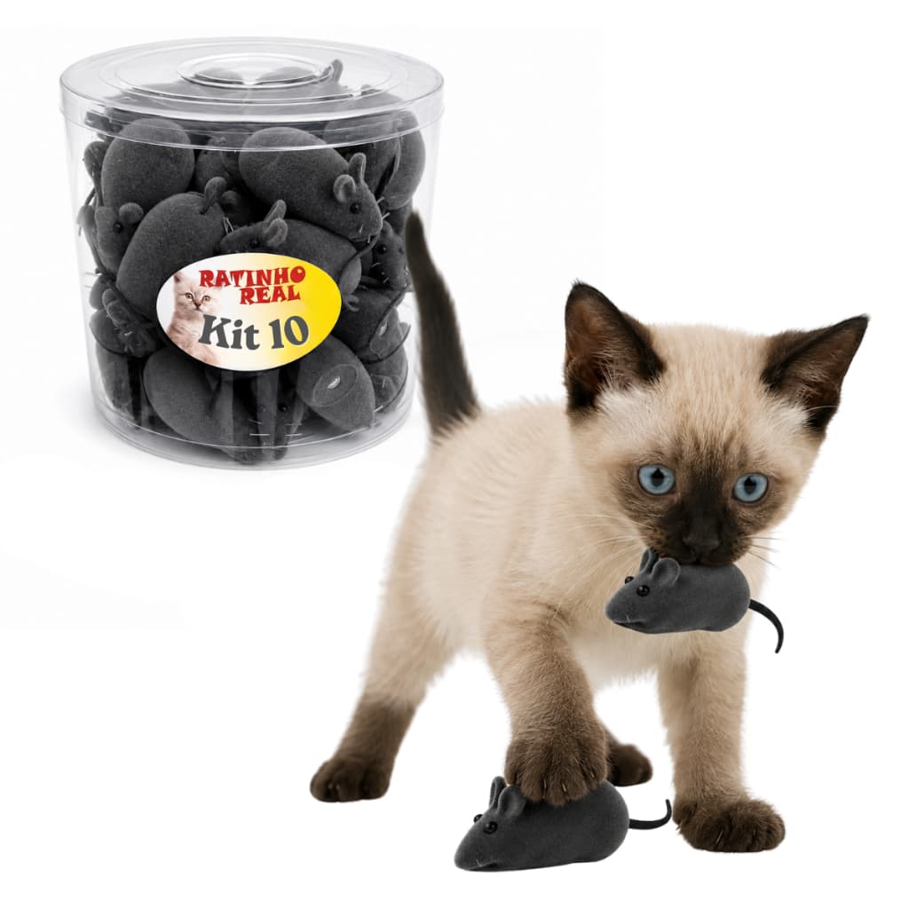 Kit 10 Brinquedos De Ratinho Pet Para Gatos Com Apito Rato de Brinquedo Gato Filhote