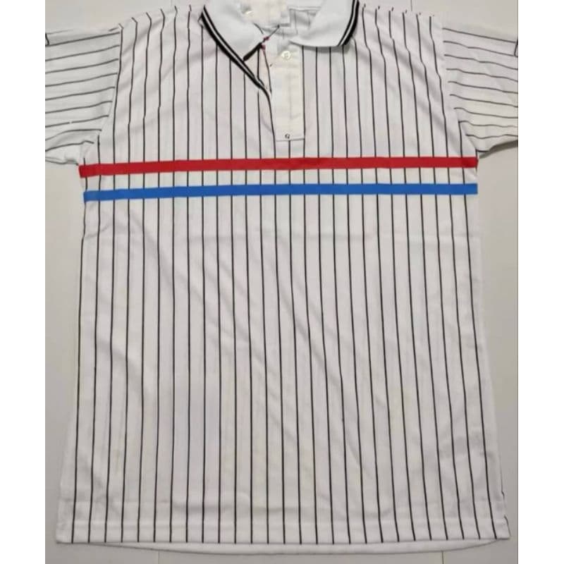 Camiseta Masculina