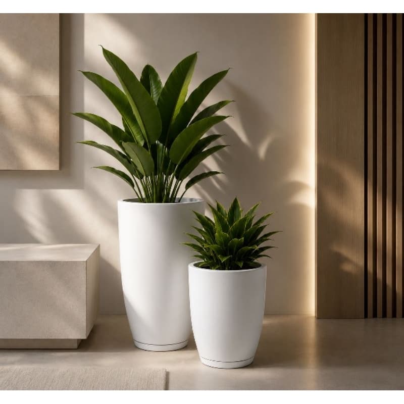 Kit 2 vasos Cone Bojo Polido para plantas N01 e N02 Com Prato Coletor