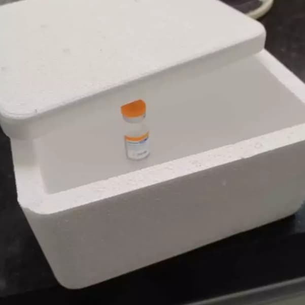 kit 5 caixas térmica de isopor 250ml.PARA INSULINA
