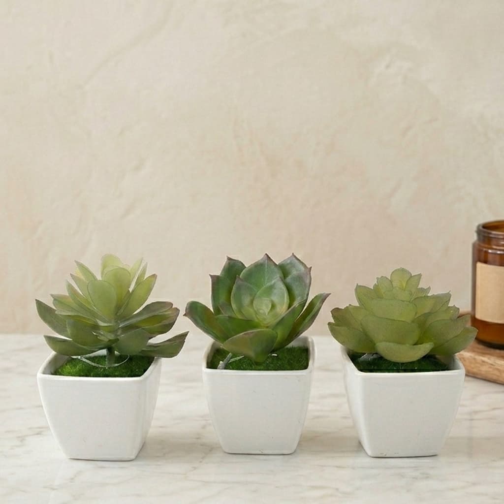 3 Suculentas Artificiais com Vaso Branco para Casa e Escritório