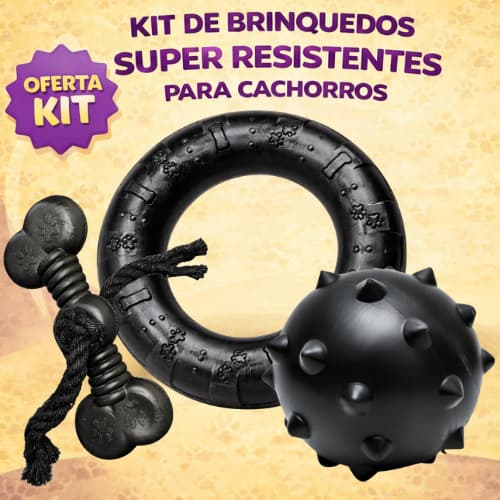 Kit Brinquedo Mordedor para Cachorro Pneu G + Bola Cravo Maciça 75mm + Osso Grande Black com Corda