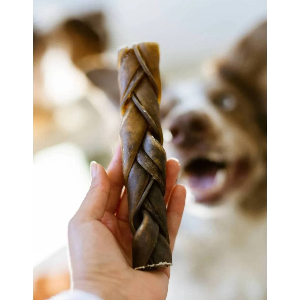Mordedor Natural Para Cães Natuka Trança Sem Pelos Cachorro Porte Médio