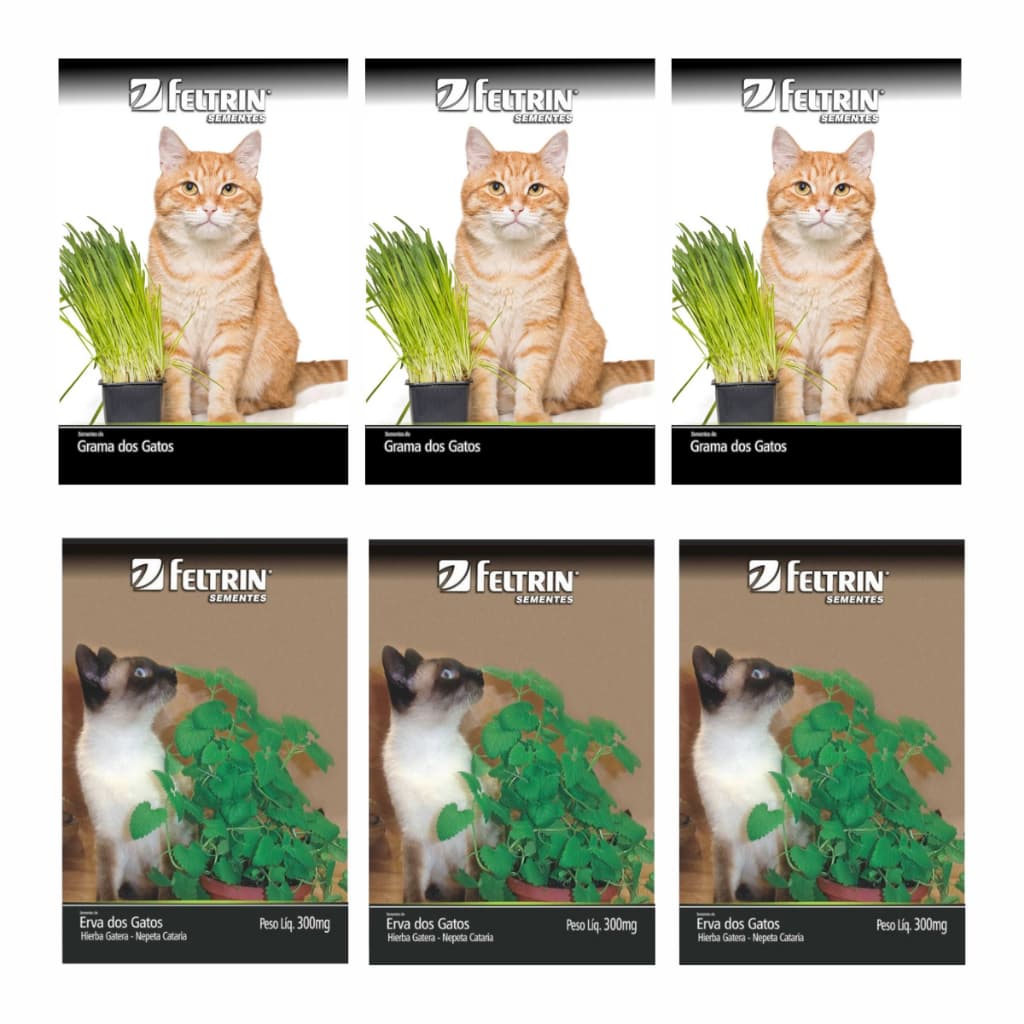 Kit Semente de Grama dos Gatos Erva dos Gatos Catnip 100mg
