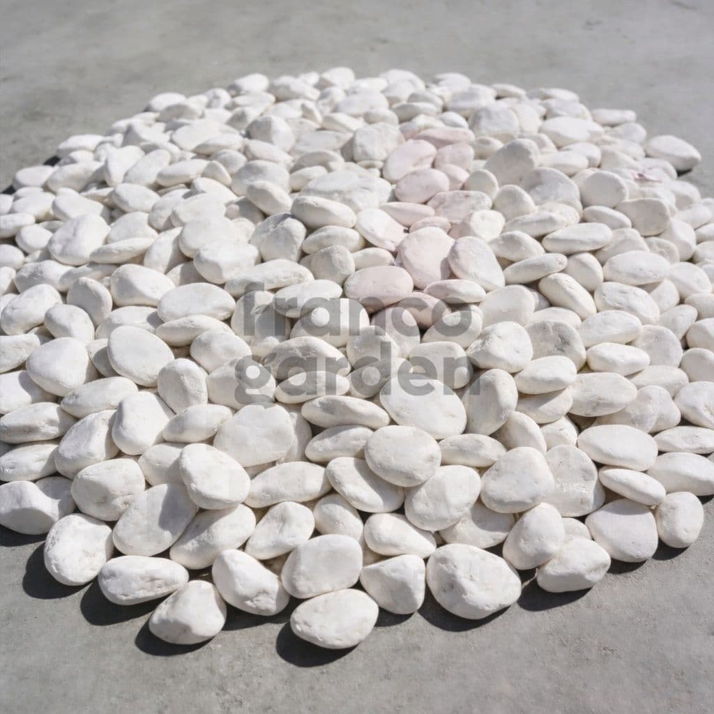 Seixo Branco Dolomita Pedra Natural para Vasos Jardim Canteiros e Decoração Paisagismo