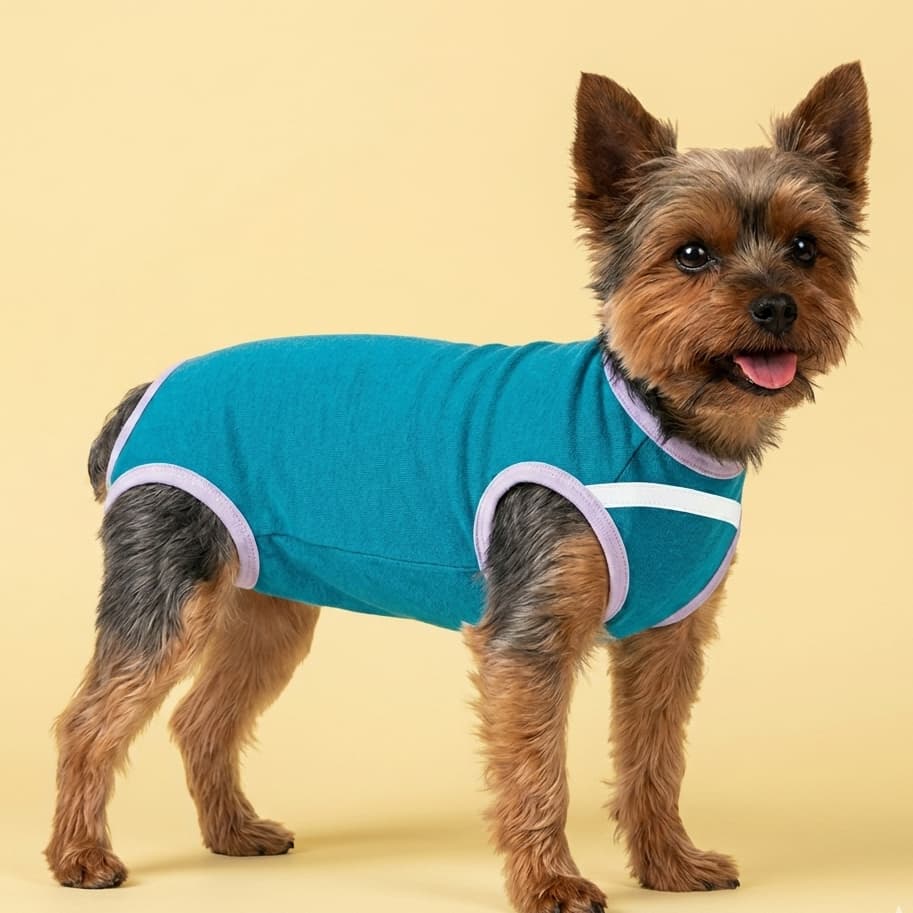 Roupa Protetora Pós Cirúrgica Zíper Abertura Xixi Yorkshire Macho Fêmea Pequeno Tamanho 01 ao 03 Roupinha Cirúrgica Pet