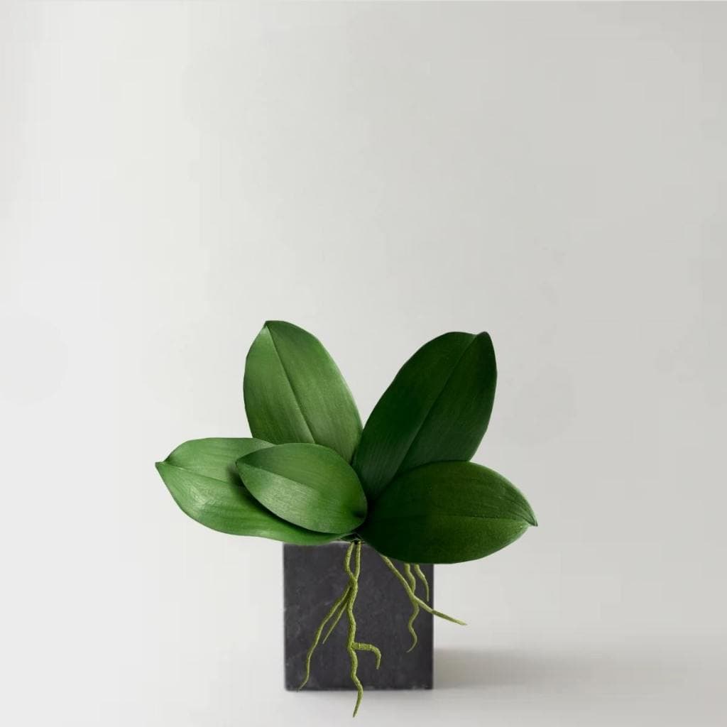 Folha de Orquídea Artificial Silicone Toque Real Premium 25cm – Haste Decorativa Realista com Raiz