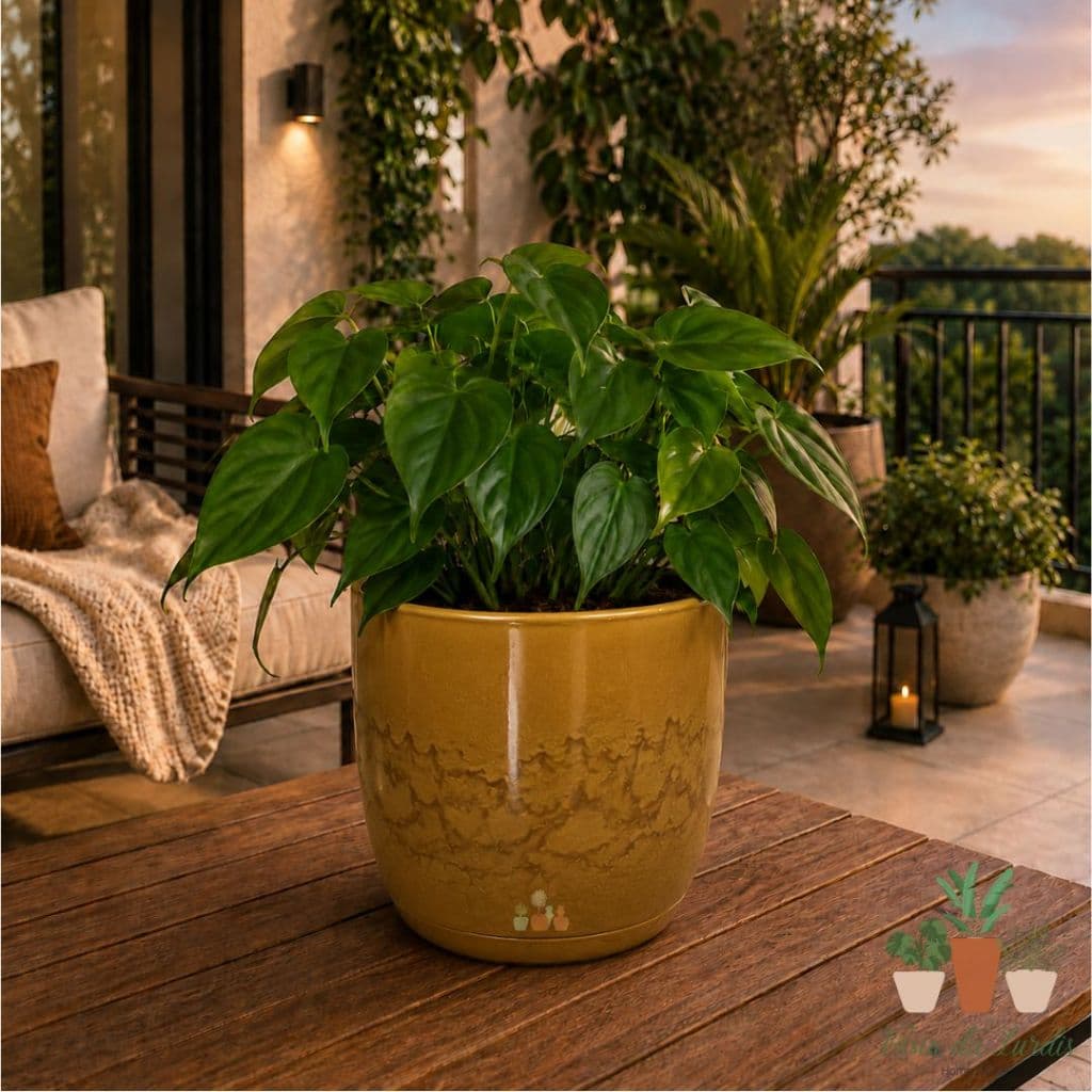 Vaso para decoração e Plantas em Polietileno Liso Bojo N1º com Prato sala varanda