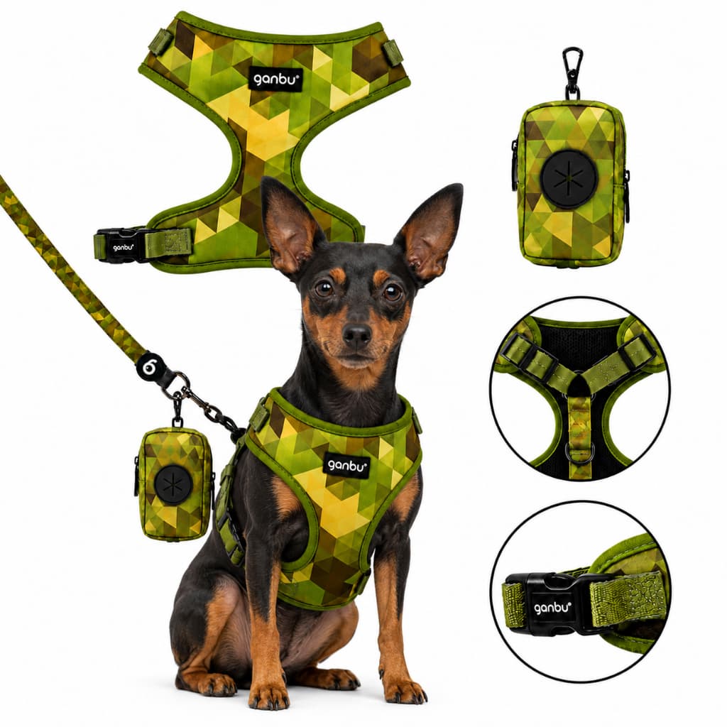 Kit Passeio Peitoral Coleira Guia Bolsa para Pinscher Miniatura Chihuahua Tamanho PP