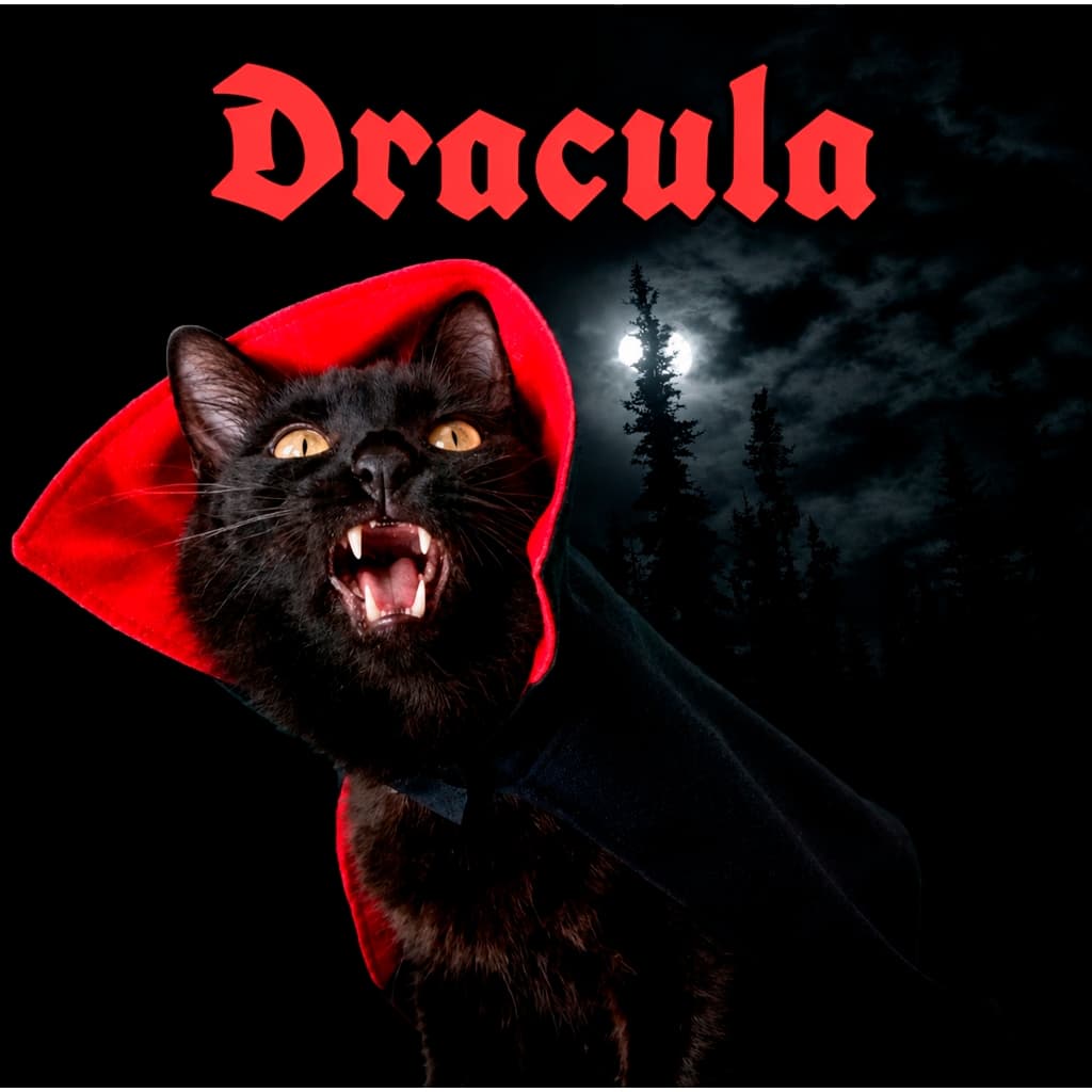 🧛 Fantasia Pet Vampiro | Capa Drácula para Cachorro e Gato halloween