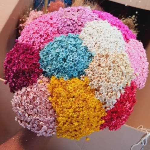 Buquê Flores Sempre Vivas Coloridas Para Decoração de Ambientes e Arranjos Florais