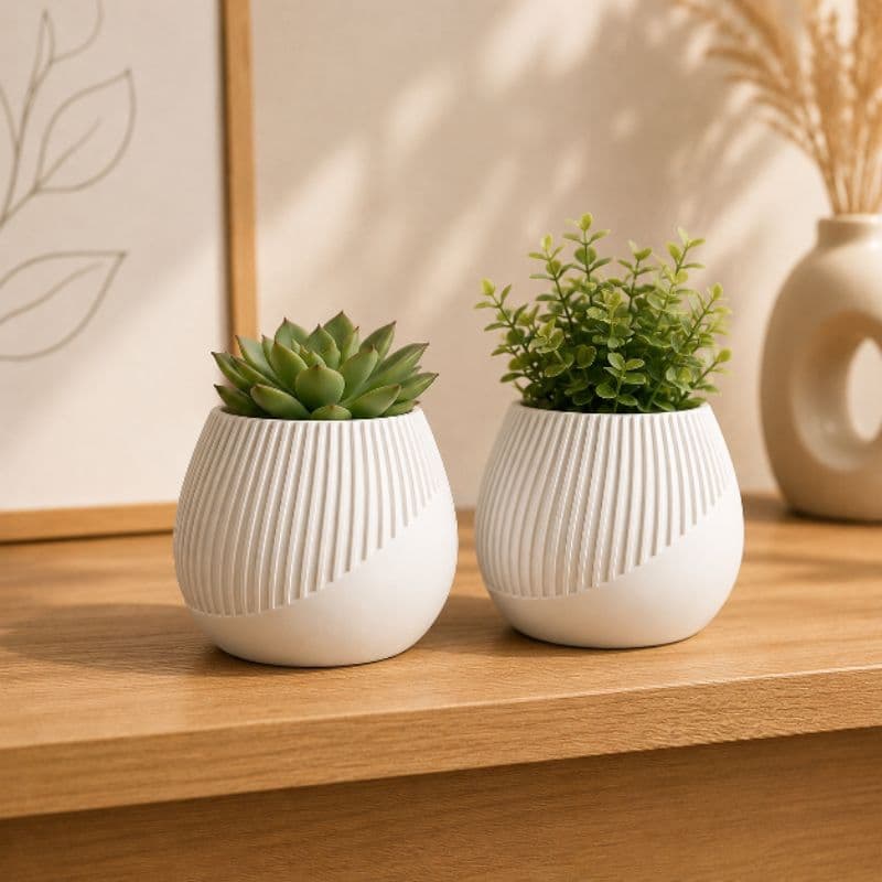 Mini Vaso Decorativo para Suculentas e Plantas Pequenas