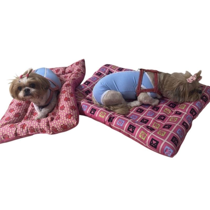 COLCHONETE PET CÃES E GATOS, MACHO E FÊMEA LAVÁVEL E RESISTENTE, NÃO PASSA FRIO 70x50x10.