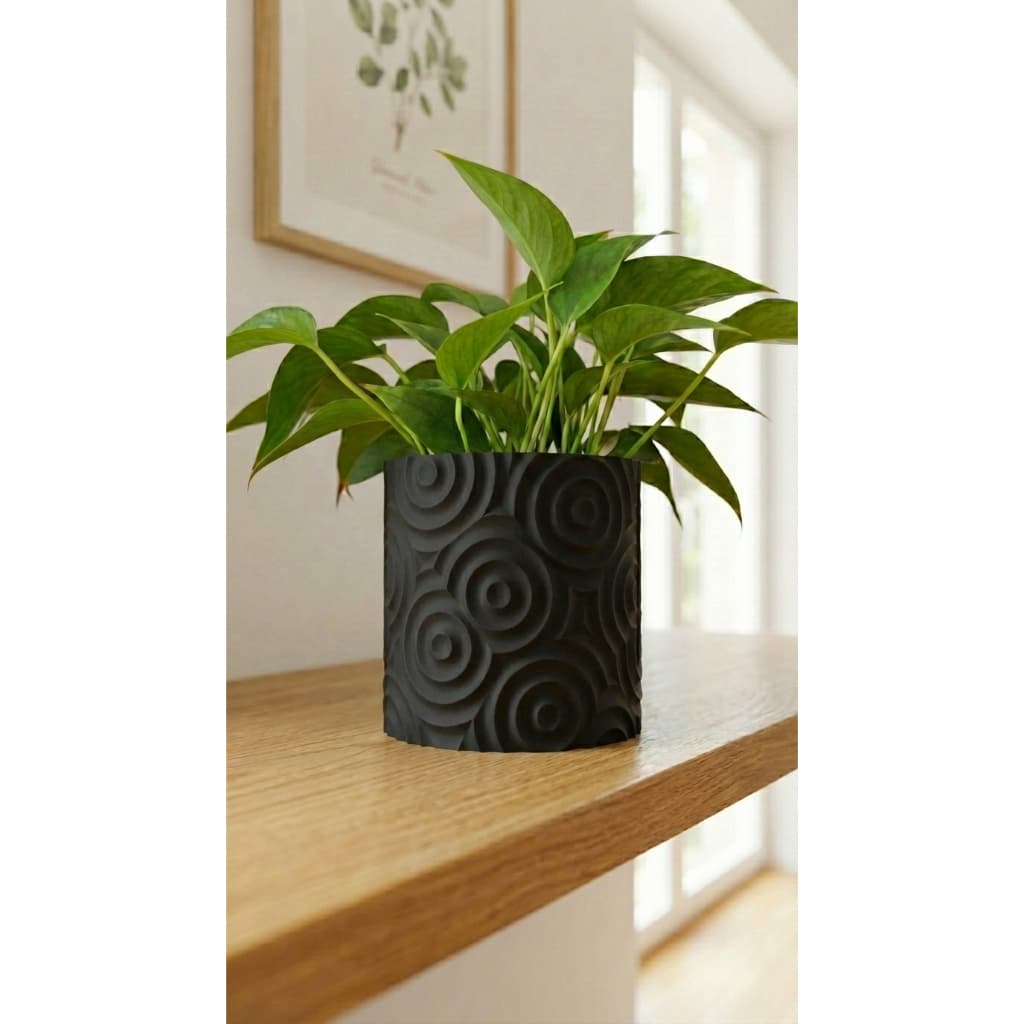 Vaso Decorativo Moderno para Plantas | Vaso para Suculentas, Cactos e Plantas Pequenas | Branco Preto Cappuccino