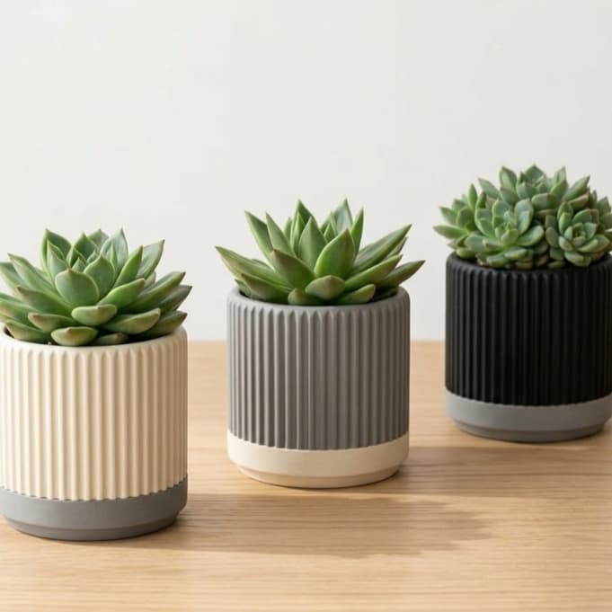 Kit 3 Cachepot Canelado com Prato Coletor – Vaso Decorativo para Plantas Suculentas