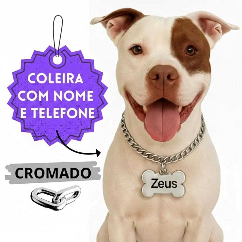 Coleira para Cachorro Grande Enforcador Corrente com Identificação Nome e Telefone