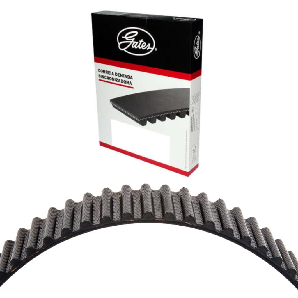 Correia Dentada Sicronizadora Fiat Palio Siena 40859x22xs