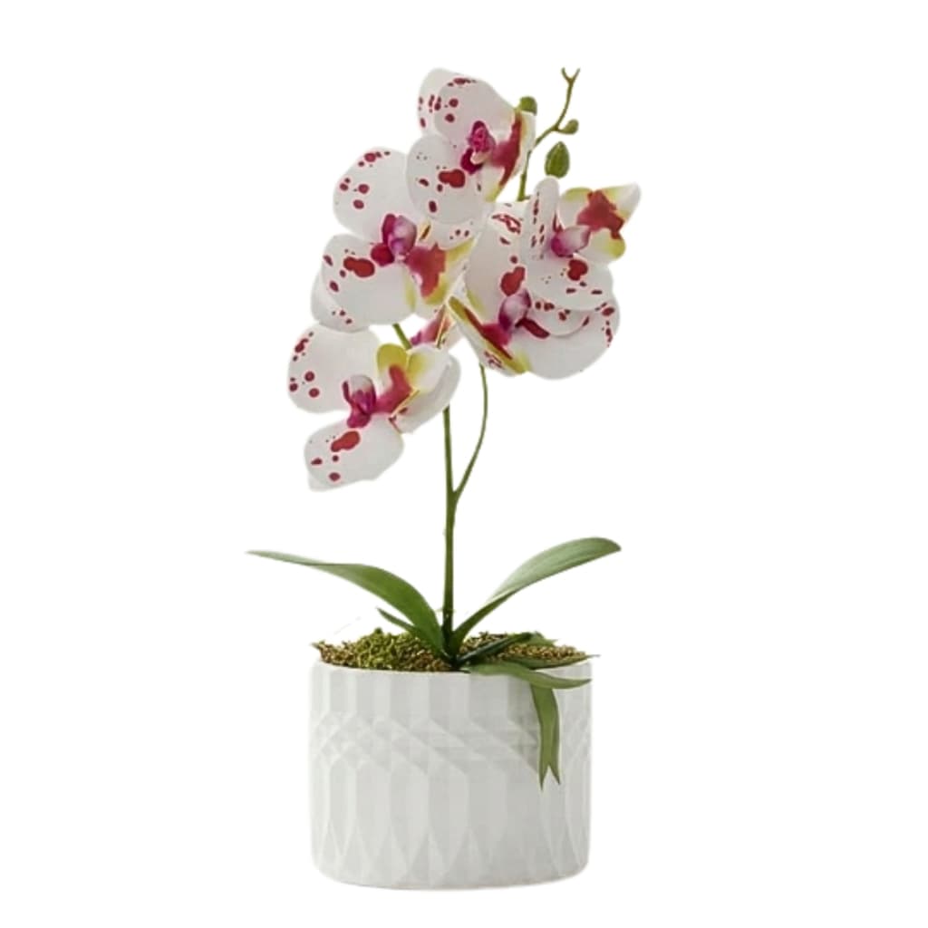 Planta Artificial Arranjo de Orquídeas Vaso Moderno