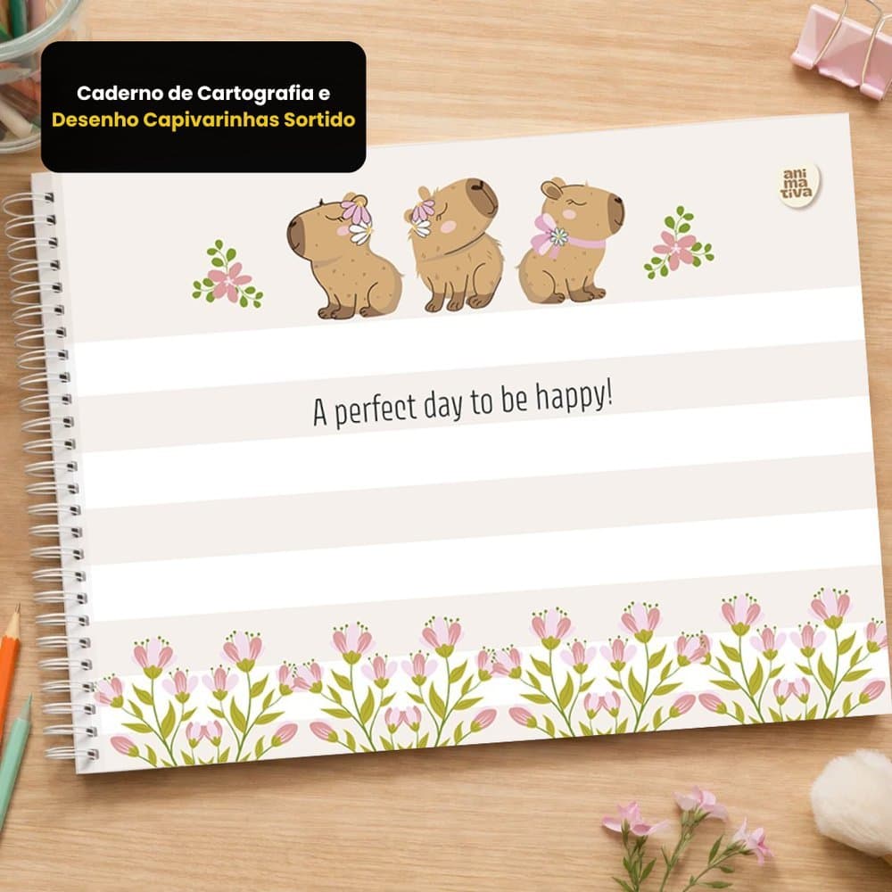 Caderno capivarinhas de Cartografia infantil e Desenho Perfeito para quem ama materiais  fofos