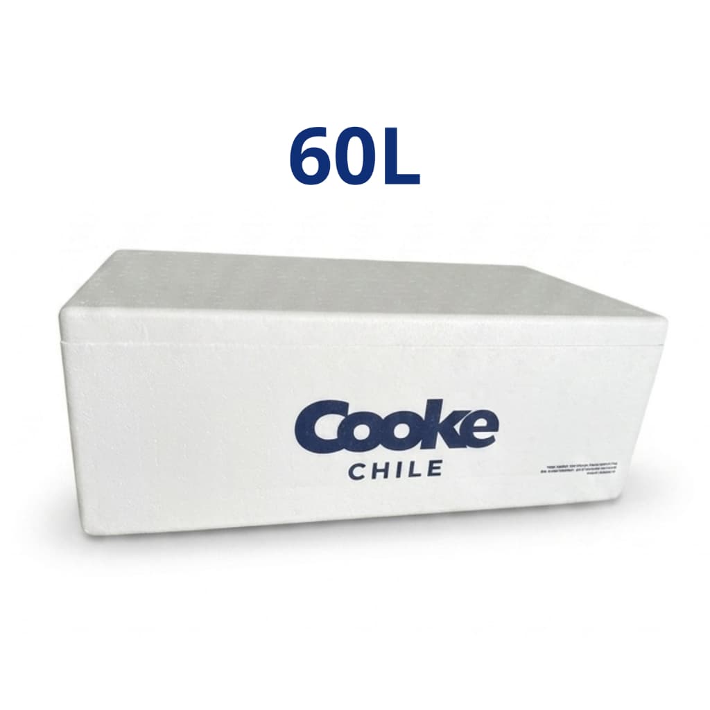Caixa Térmica Isopor Pereciveis/Alimentos 60L - Caixa Retangular Extensa SEMI NOVA (LEIA DESCRIÇÃO)
