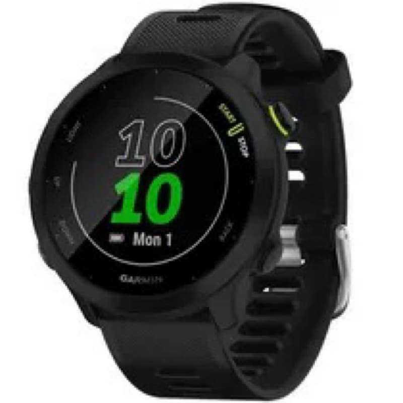 Relógio Smartwatch Garmin Forerunner 55 original  lacrado