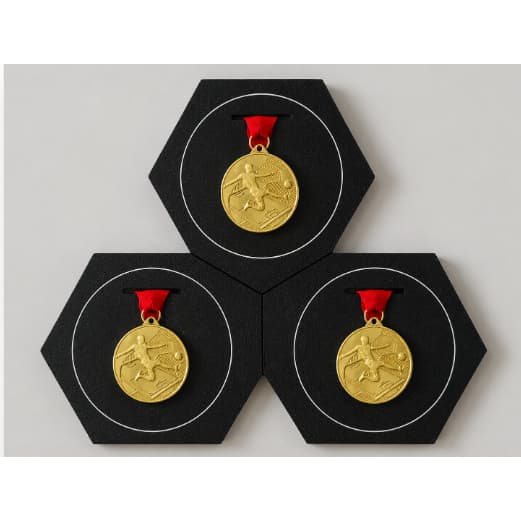 Porta Medalhas Colmeia – Kit com 3 Unidades
