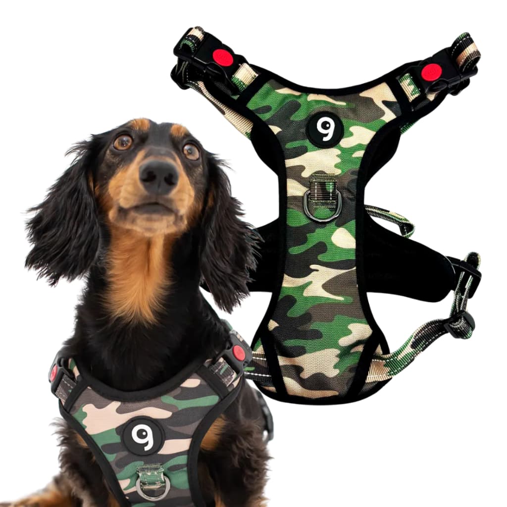 Peitoral LED Recarregável Shih-tzu Chihuahua Segurança Passeio Noturno Tamanho P