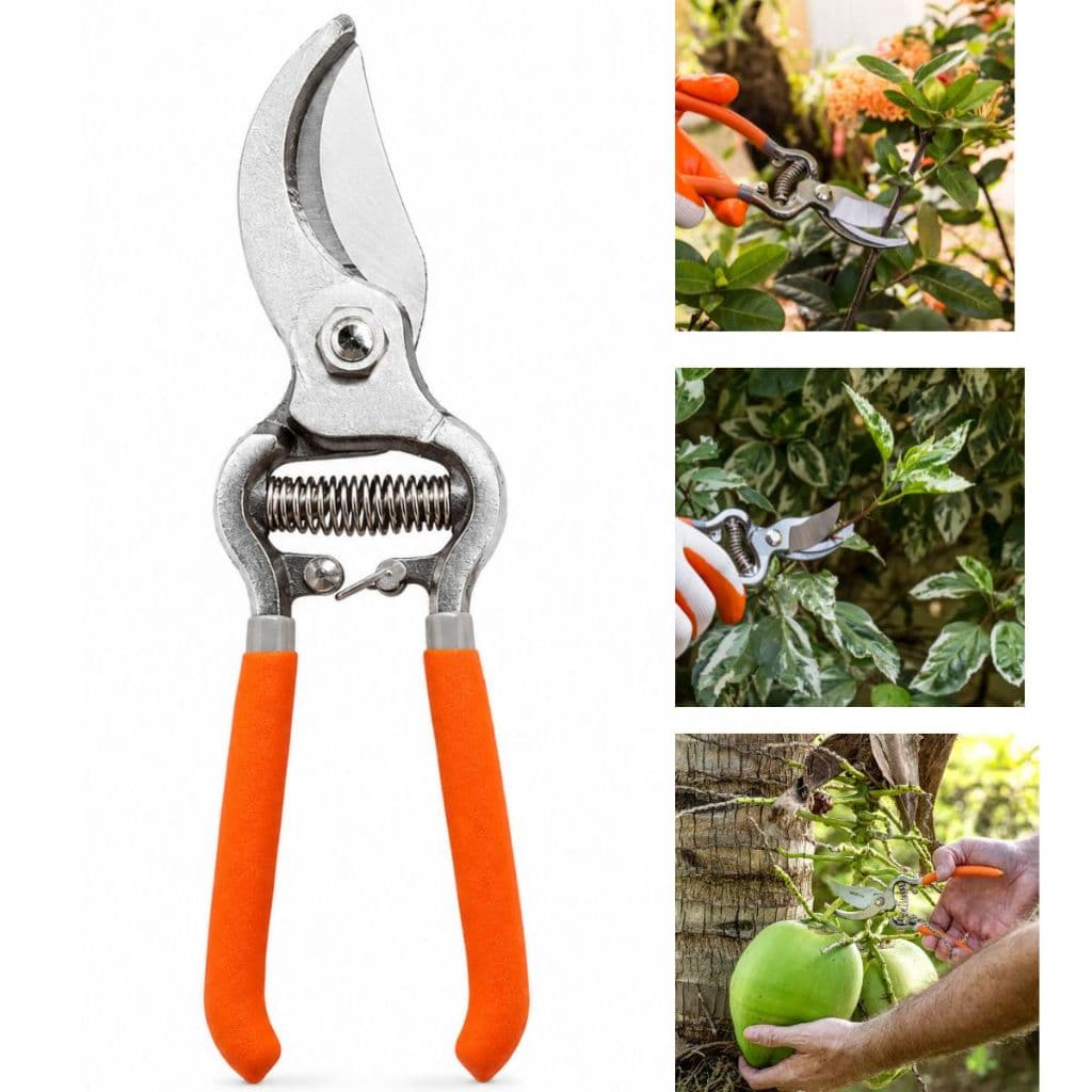 Tesoura Forjada Bypass de Poda Profissional Jardim Plantas Profissional