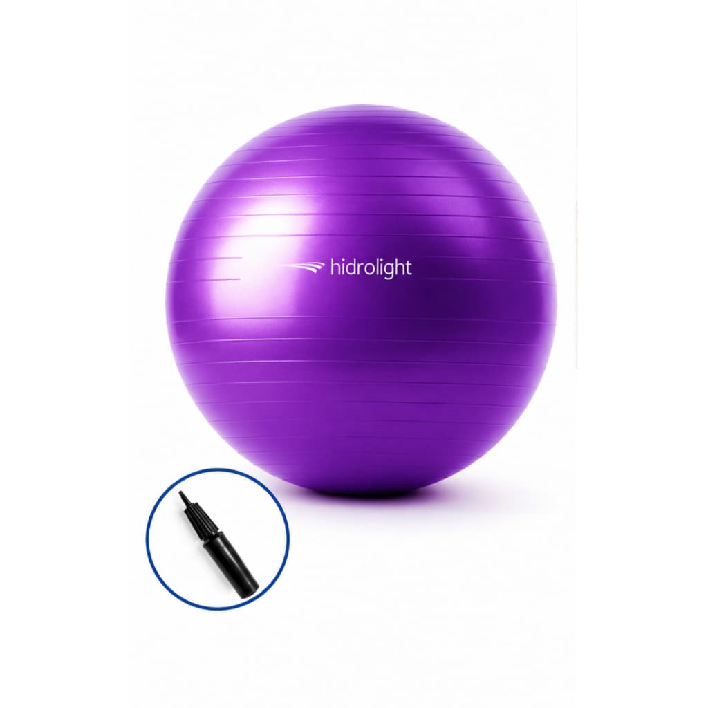 Bola Ginastica Suiça Pilates Yoga Academia Funcional - 65cm