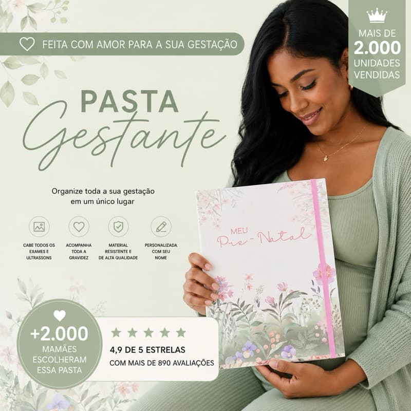 Pasta Catálogo Gestante Personalizada Meu Pré Natal Porta Documentos Meus Exames