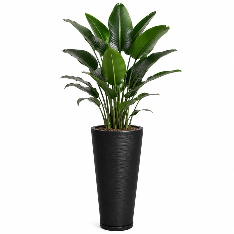 Vaso para Plantas Grande Vaso Decorativo Polietileno Premium Moderno Jardim Sala Varanda Ibiza 59cm