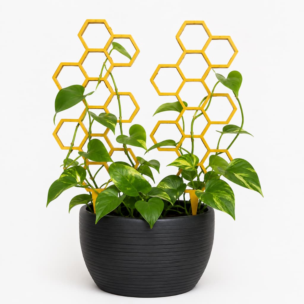 Kit 2 Treliças Colmeia para Plantas Trepadeiras Suporte Decorativo para Vasos 22cm
