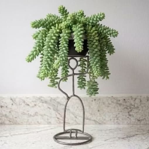 Suporte para plantas de Aço Ferro Resistente para Suculentas Jardim