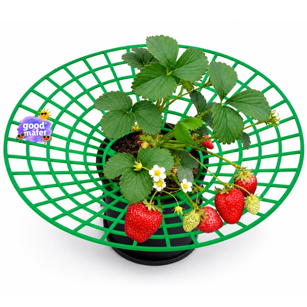 05 Suportes Para Plantação Morango Proteção Contra Umidade e Não Encosta No Solo