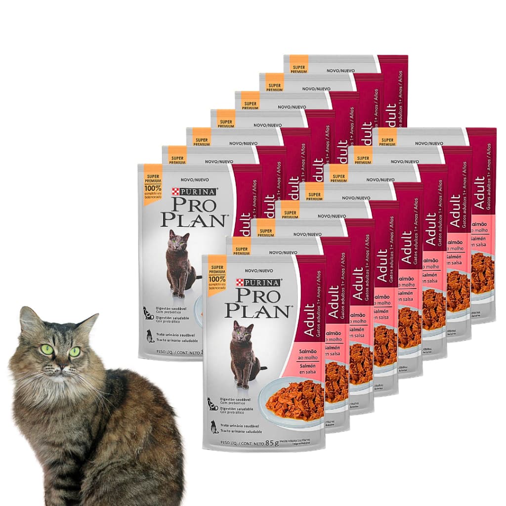 Kit Com 10 Unidades Ração Umida Pro Plan Purina Gatos Adulto Sabor Salmão 85g Super Premium