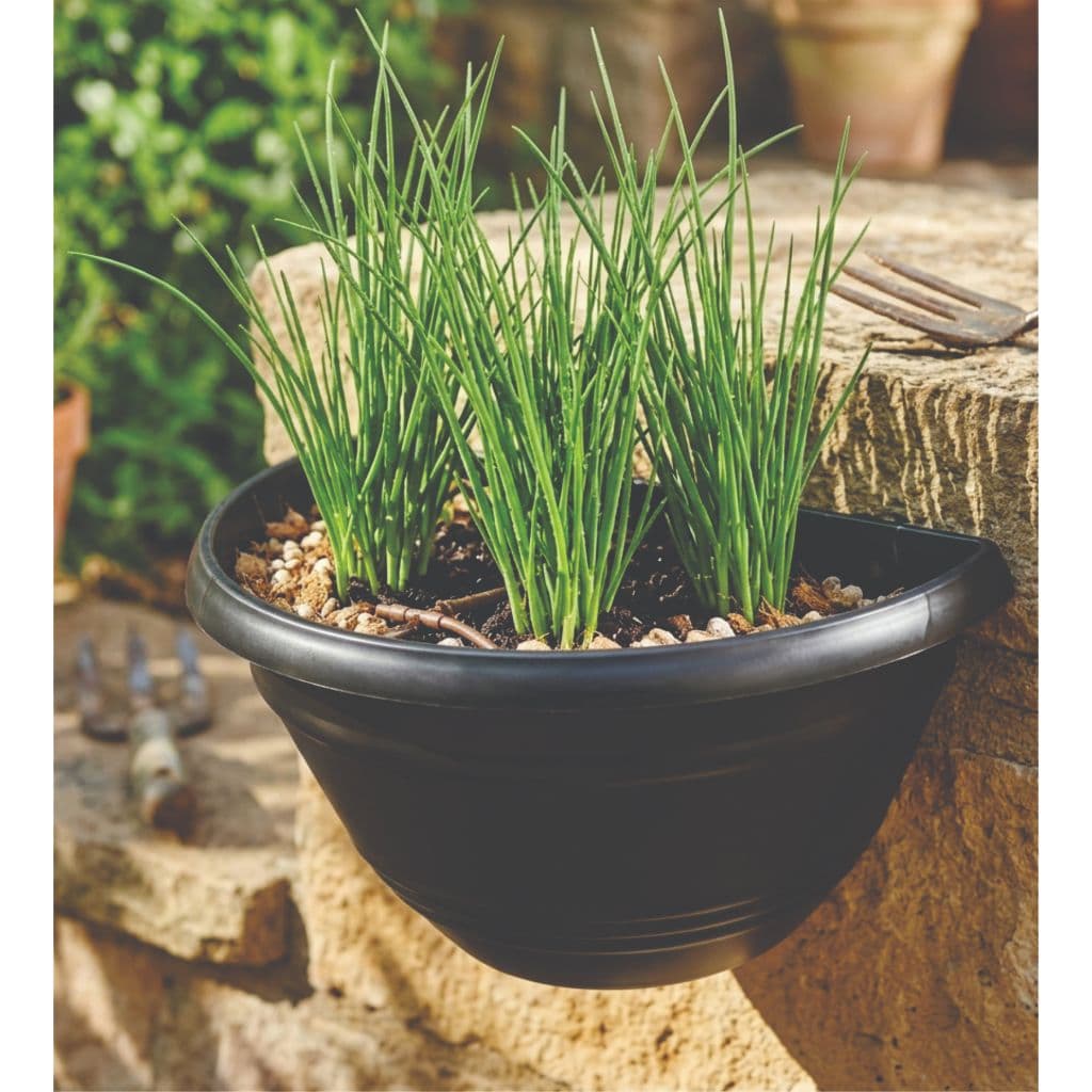 Vaso de parede 1 litro para jardim horta floreira vertical 6 Vasos preto