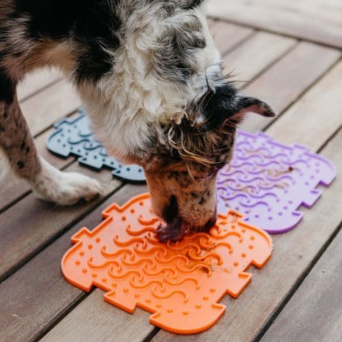 Comedouro Interativo Quebra-Cabeça | Tapete Lambedor para Cães e Gatos, Enriquecimento Ambiental - Petiko