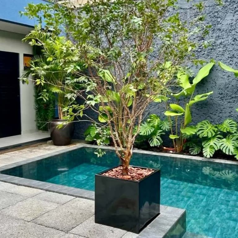 Vaso Caixa Fibra De Vidro Quadrado 50cmx50cm Vietnamita Luxo