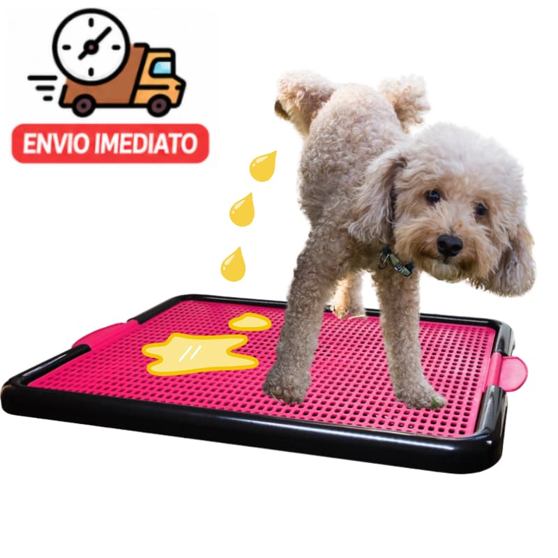 Sanitário Higiênico para Cães com Grade | Tapete Higiênico Treinamento Xixi Pet