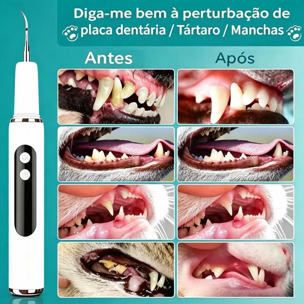 Limpador de dentes elétrico para animais de estimação por ultra-som, máquina de lavar dentes luiza