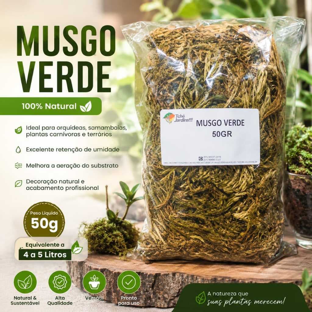 Musgo Verde Natural 50g Para Orquídeas Terrários Kokedama Decoração Vasos Jardim e Artesanato