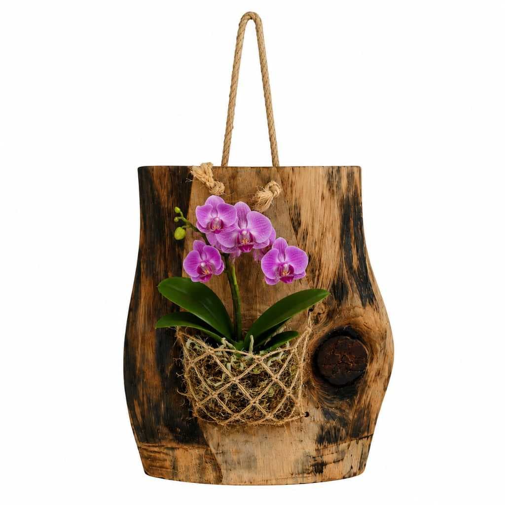 Painel De Madeira Rustico Com Cachepo Para Orquidea E Plantas
