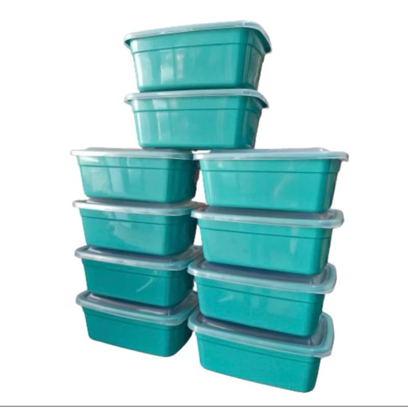 Kit 10 Potes Marmitas 1L 1kg Tampa Color -> BPA FREE Vasilhas Freezer Microondas banho maria lavavel