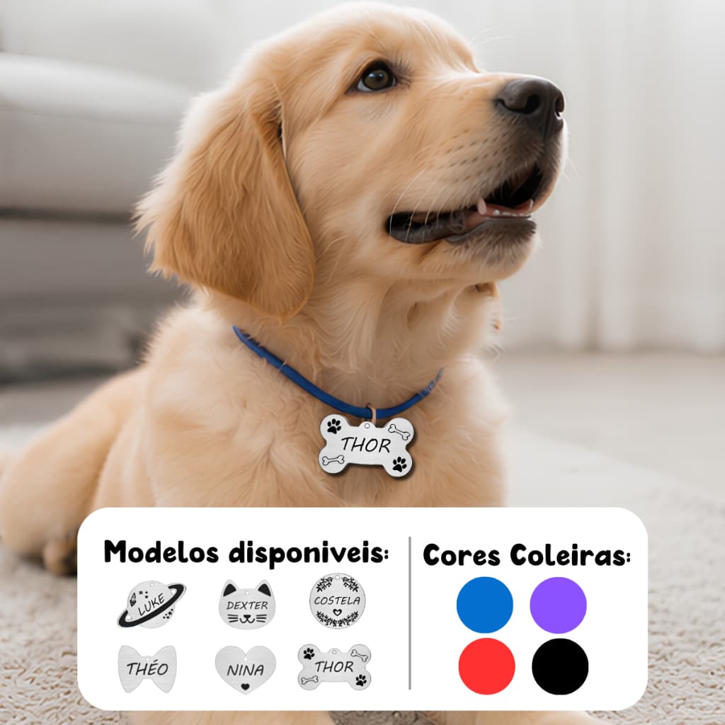 Plaquinha de Identificação Pet Personalizado + Coleira Personalizada para Cachorro Gato