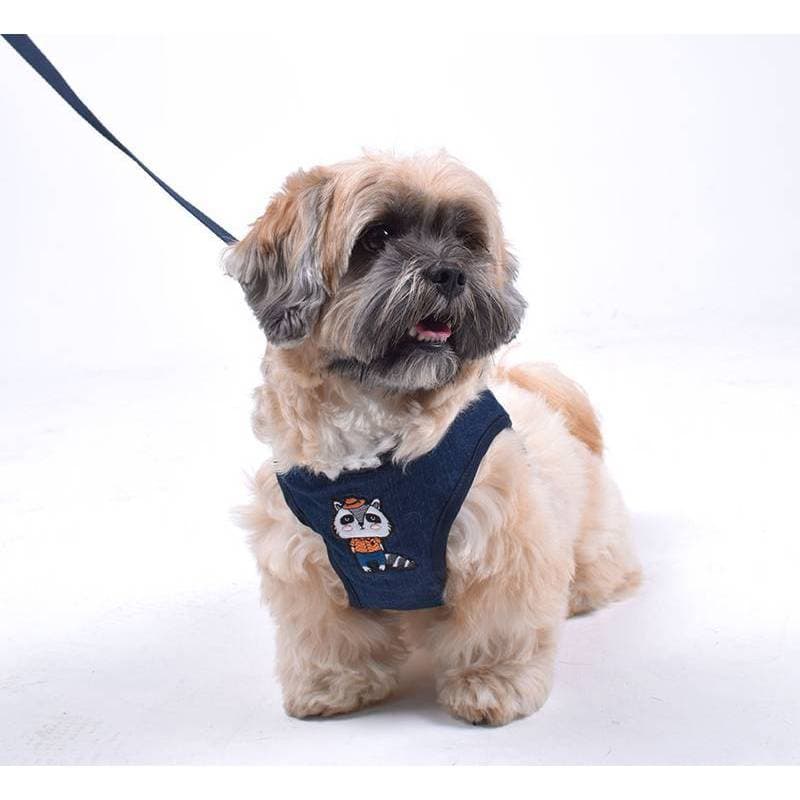 Peitoral para Cachorro Guaxinim Emporium Distripet | Peitoral Pet para Passeio, Caminhada e Controle do Cão