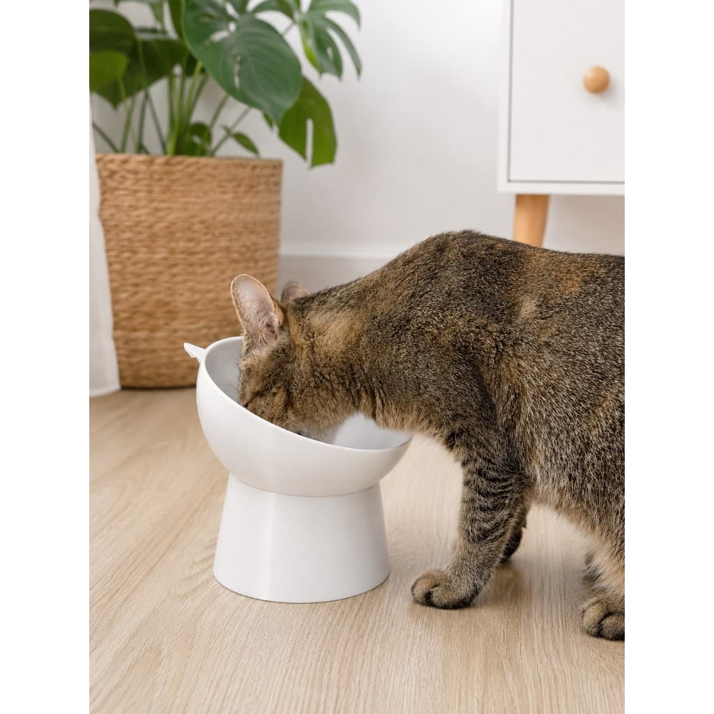 Tigela Elevada para Gatos com Orelhinhas Luxo Comedouro Ergonômico